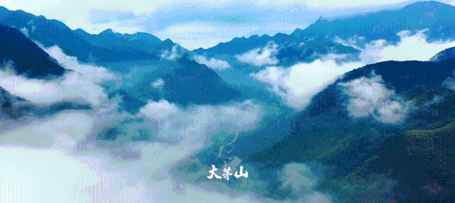 殖民地的悲哀!驻日美军撞死2人无罪,美议员要求日本道歉